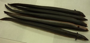 Räucheraale – frisch aus dem Rauch